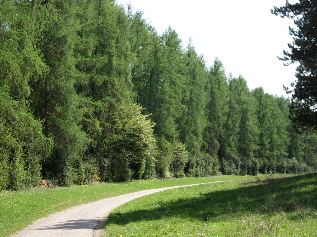 Ballade : Ramassage d’automne dans la Combe