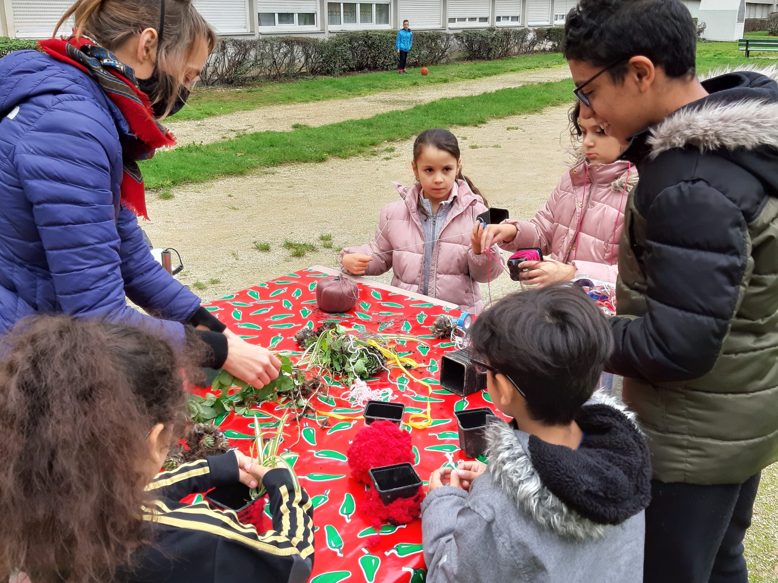 Atelier création de boutures