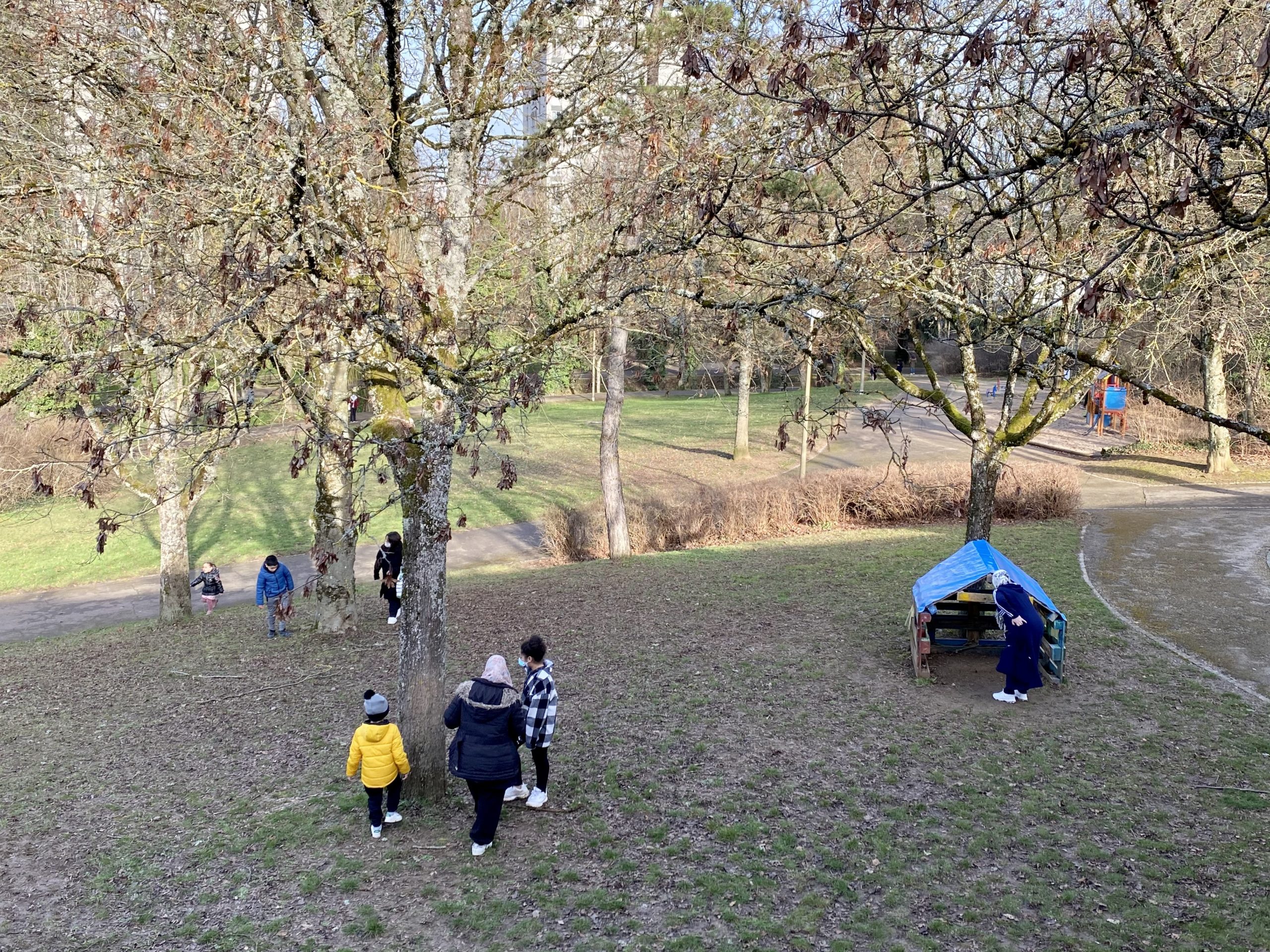 Initiation à la botanique autour d’une chasse aux trésors