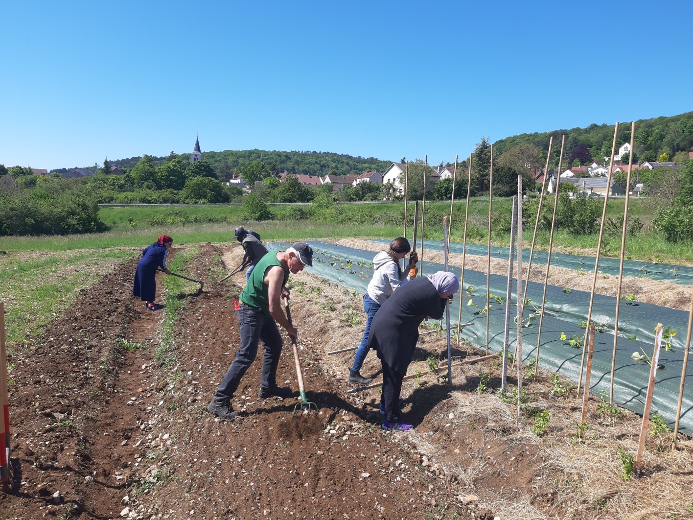 Chantier participatif : le potager collectif du Ruisseau