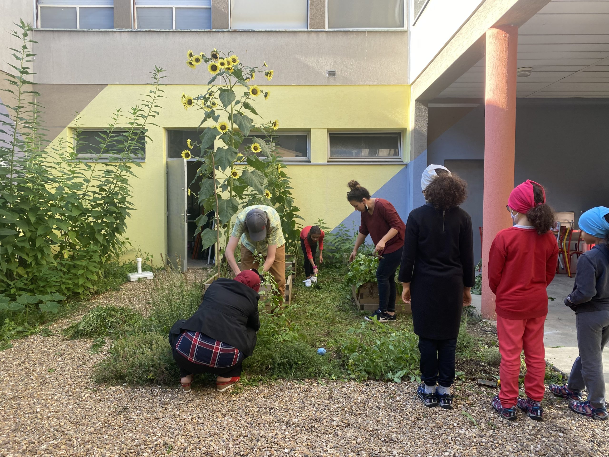 Atelier bouture et jardinage dans le patio