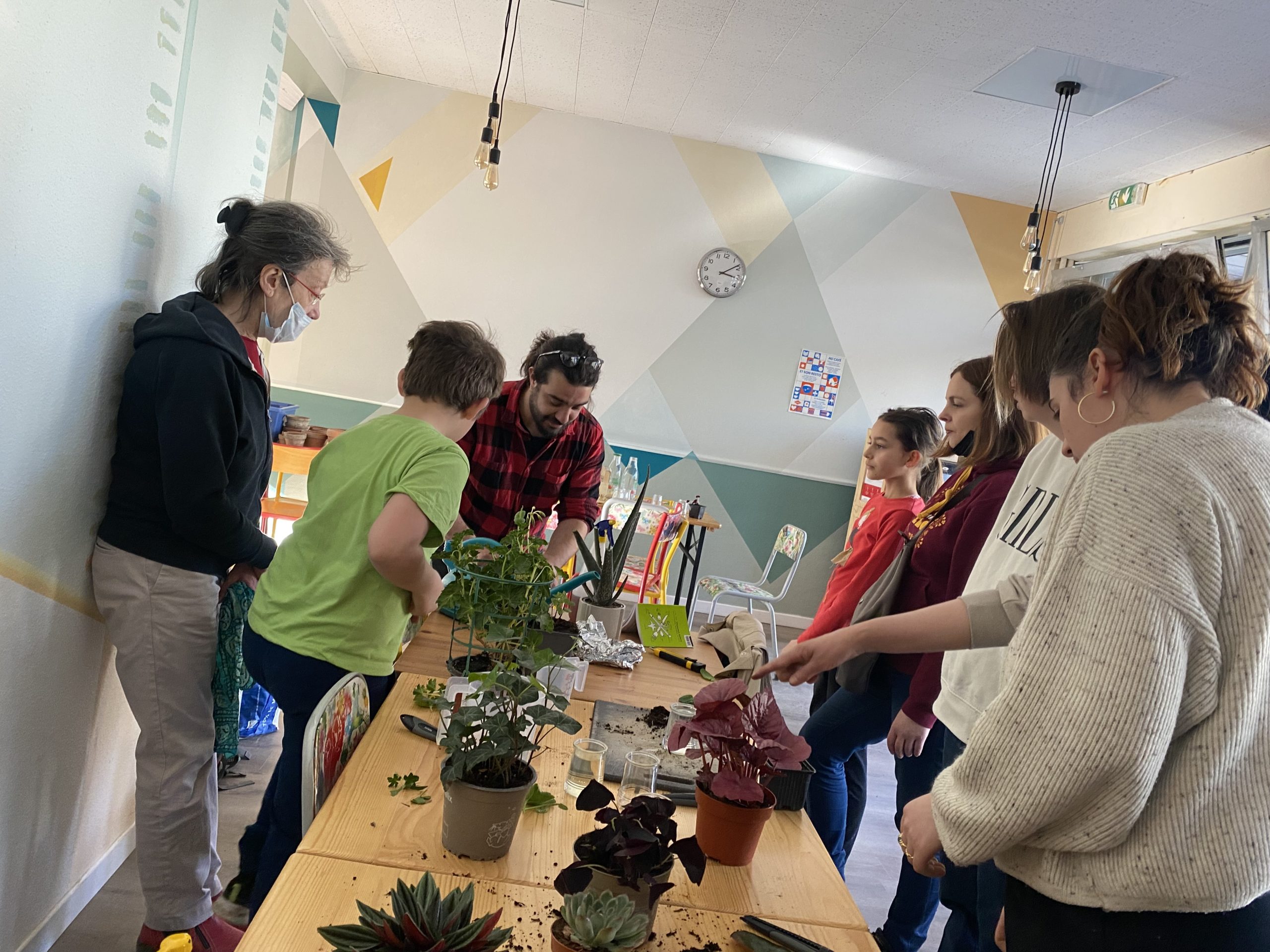 Atelier boutures de plantes et jardinage dans le patio