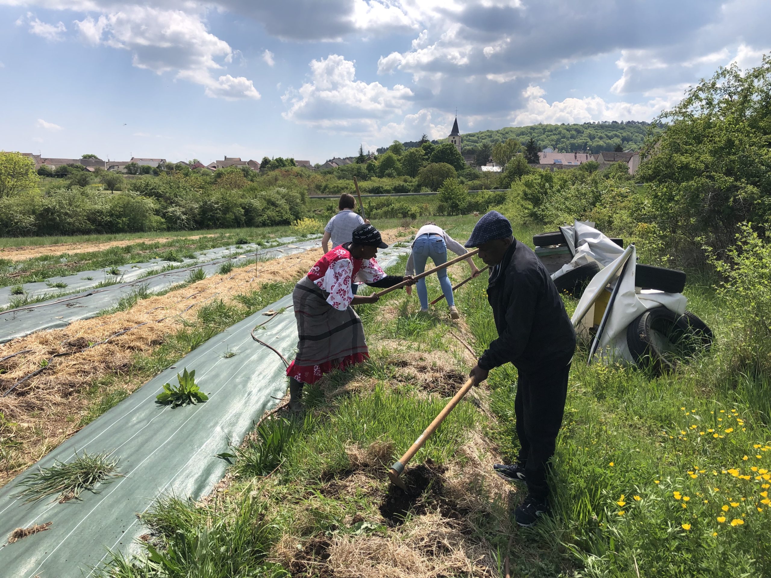 Ateliers jardinage, maraîchage et ateliers autour de la nature